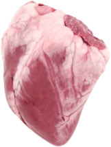 anotomical heart 2
